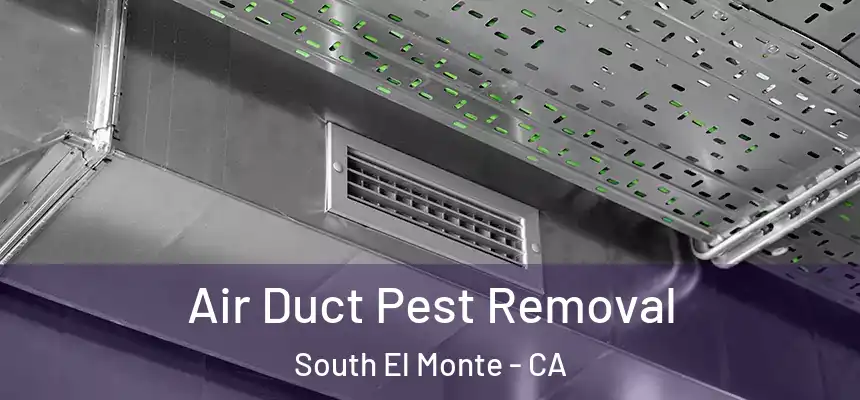 Air Duct Pest Removal South El Monte - CA
