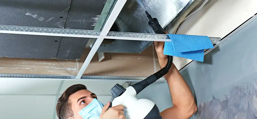 Our Air Duct Rodent Removal Services in South El Monte, CA