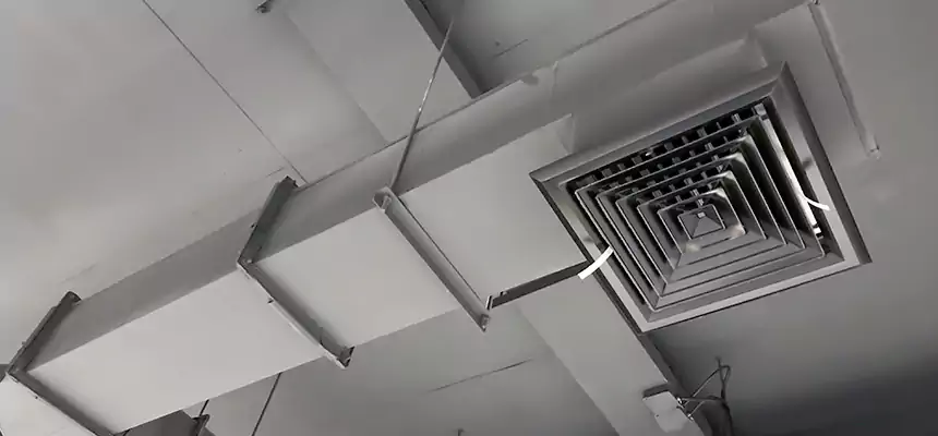 Our Rodent Droppings In Vents Services in South El Monte, CA