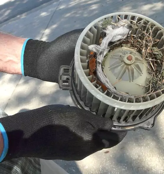 About Air Duct Rat Removal in South El Monte, CA