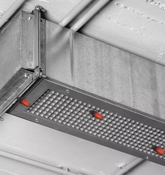 Affordable Insect Removal from Air Ducts in South El Monte, CA