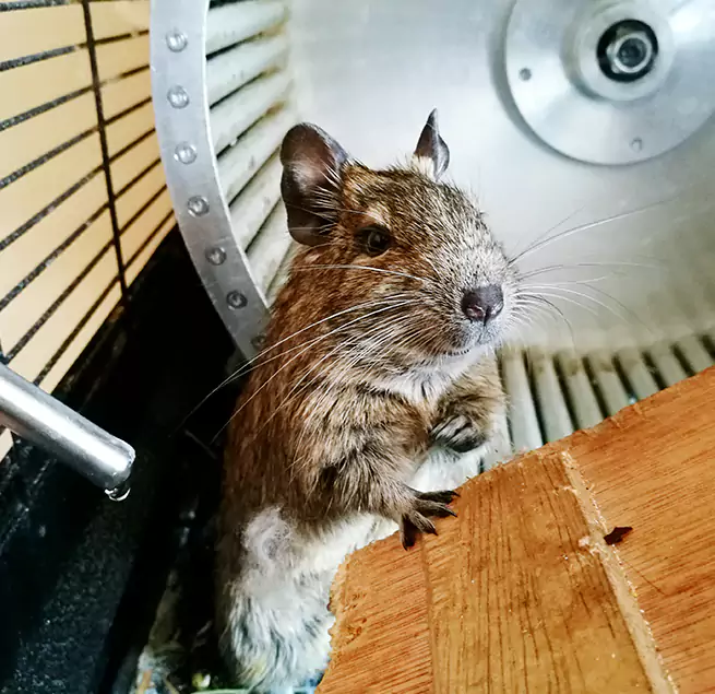 Why Homeowners & Businesses Trust Us South El Monte, CA?