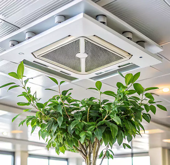 Why Homeowners & Businesses Trust Us in South El Monte, CA