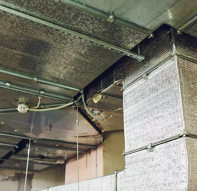 Why Homeowners & Businesses Trust Us in South El Monte, CA?